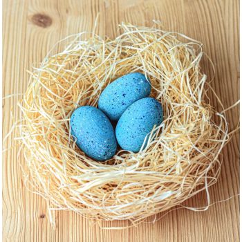 Bumbu Toys dinó tojások fajáték