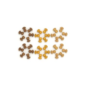 Grapat gomba mandala készlet