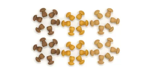 Grapat gomba mandala készlet