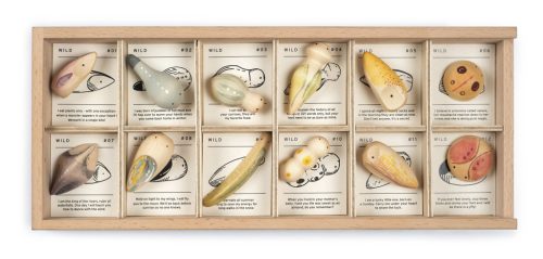 Grapat Wild, állatkák a vadonban, tárolóval