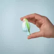 Bumbu Toys afrikai törpepapagáj, kék